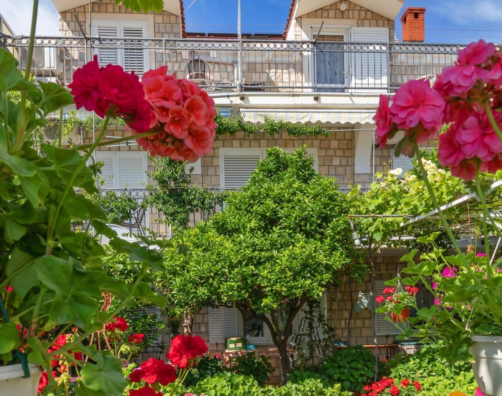 Apartmani Galic 2 Mlini Zewnętrze zdjęcie